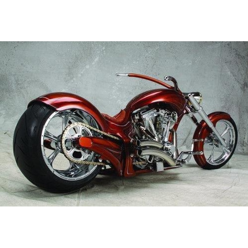 Harley Project JayBrake Tranzbrake RSD Softail Transmission Harley Chopper sproc