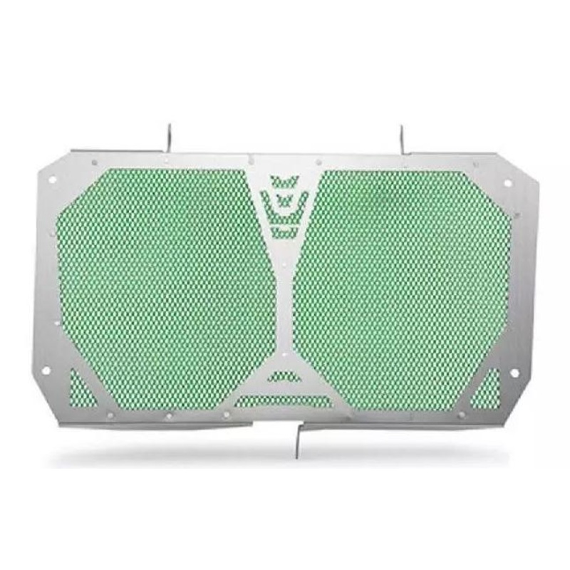 Kawasaki Versys 1000 Radiator Guard